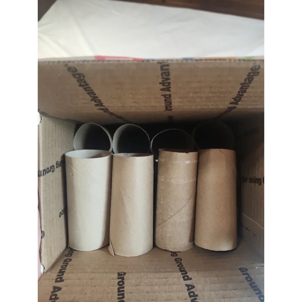 40 Empty Toilet Paper Rolls Tube Cardboard Art Supplies School Crafts Quick Ship
